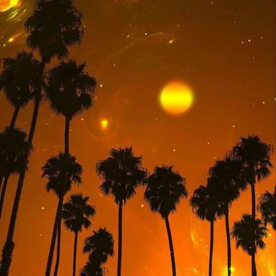 新万博ManBetX全站