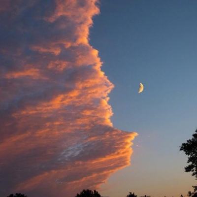 新万博ManBetX全站截图