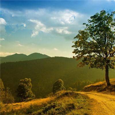 Kaiyun网页版在线登录入口